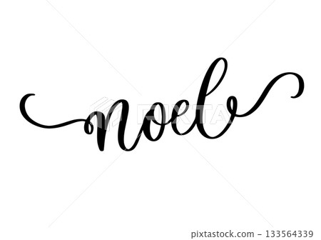 Noel Calligraphy Script with Flourishes.Elegant Cursive Typography for Christmas Greeting. 133564339