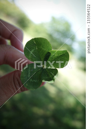 Hand with four leaves clover 133564522