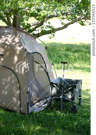 Afternoon camp scene Afternoon camp scene 133564523