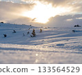 Magical Winter Landscape with Snow Covered Trees at Sunset 133564529