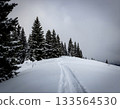 Moody Winter Landscape with Snow Tracks and Pine Trees 133564530