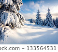 Scenic Winter Landscape with Snow Covered Pine Trees and Cloudy Sky 133564531