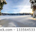 Scenic Winter Landscape with Snow Covered Pine Trees and Cloudy Sky 133564533