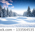 Magical Winter Landscape with Snow Drifts and Blurred Pine Forest 133564535