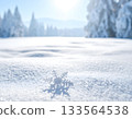 Macro Close-up of Single Snowflake on Snow in Sunny Winter Forest 133564538