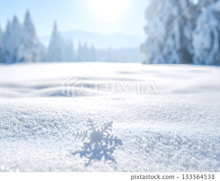 Macro Close-up of Single Snowflake on Snow in Sunny Winter Forest 133564538