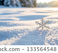Macro Close-up of Single Snowflake on Snow in Sunny Winter Forest 133564548