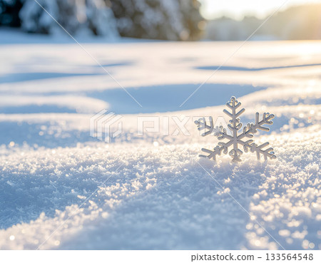Macro Close-up of Single Snowflake on Snow in Sunny Winter Forest 133564548