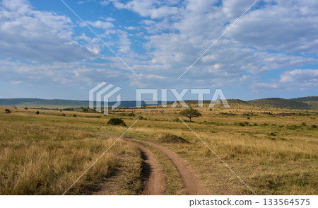 穿越馬賽馬拉大草原的越野卡車公路 133564575