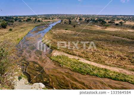 Tarangire National Park in the dry season: expansive grasslands and meandering rivers 133564584