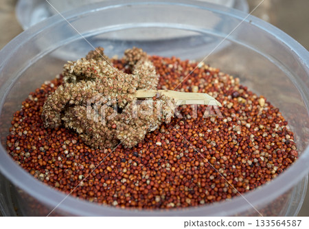 Tanzanian local banana beer ingredients: grains and fermented ingredients Tanzanian local banana beer ingredients: grains and fermented ingredients 133564587