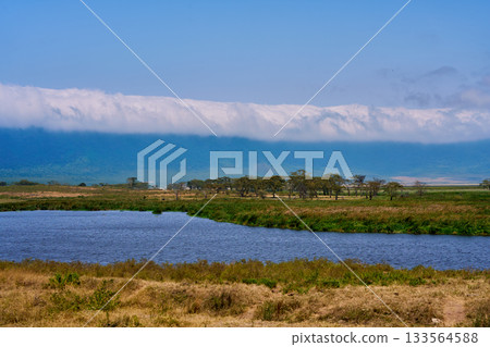 碧藍的海面、廣闊的草原,以及被白雲籠罩的火山外緣,構成了一幅美麗的對比圖。 碧藍的海面、廣闊的草原,以及被白雲籠罩的火山外緣,構成了一幅美麗的對比圖。 133564588