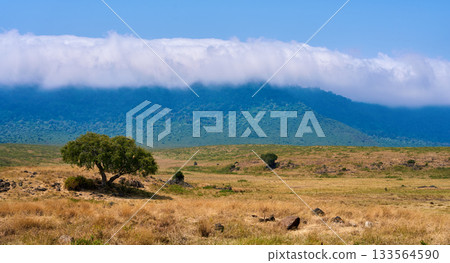 恩戈羅恩戈羅平原和火山外緣，被雲海環繞。 133564590