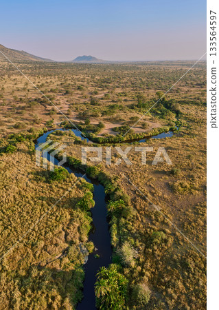 A river irrigating the dry land - Aerial view of the Serengeti A river irrigating the dry land - Aerial view of the Serengeti 133564597