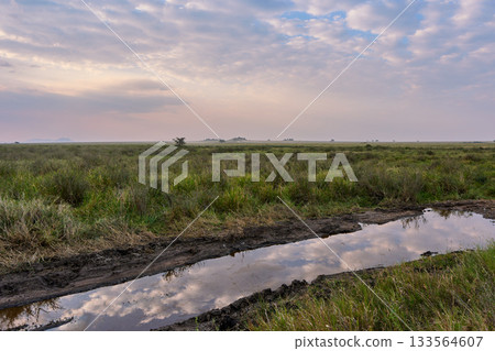 A tranquil morning in the savanna, the sky reflected on the water 133564607