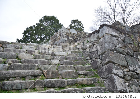 福岡城堡的石垣 福岡城堡的石垣 133564812