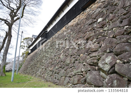 福岡城堡的石垣 福岡城堡的石垣 133564818