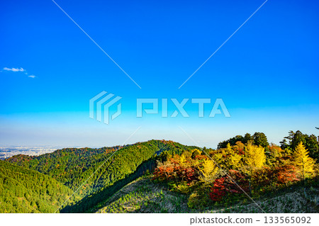 Autumn leaves (Oku-Takao, Iccho-daira) 133565092