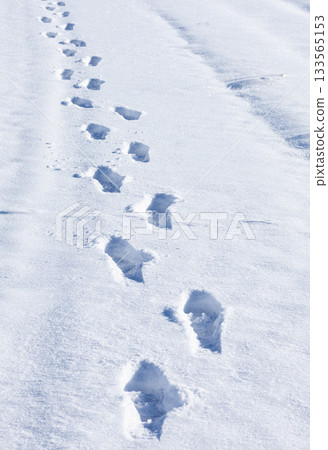 A scene of footprints on a snowy sidewalk in Hokkaido in midwinter A scene of footprints on a snowy sidewalk in Hokkaido in midwinter 133565153