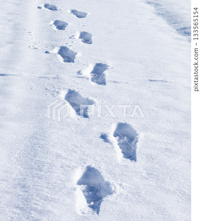 北海道仲冬時節,積雪覆蓋的人行道上留下的腳印。 北海道仲冬時節,積雪覆蓋的人行道上留下的腳印。 133565154