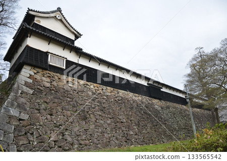 堅固的石牆和城堡塔樓 133565542