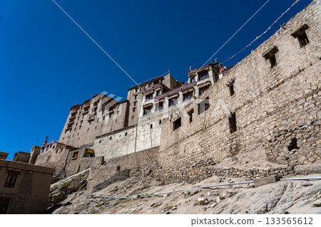 Leh Palace in Ladakh, India 133565612