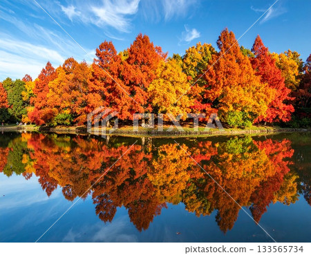 【AI生成影像】秋葉光澤閃耀，呈現垂直對稱的景象 133565734