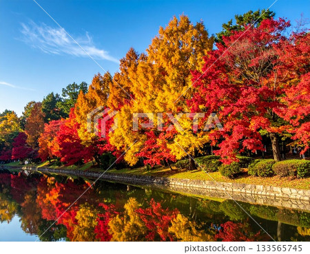 【AI生成影像】秋葉光澤閃耀，呈現垂直對稱的景象 133565745