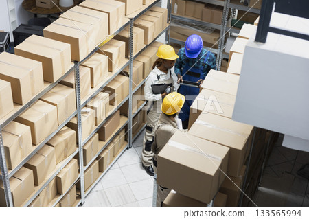 Multiethnic team examining cargo on racks for efficient distribution, managing the shipment process, inventory control, and packaging of goods for import export delivery service. 133565994