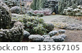 Winter garden displaying intricate landscaping with frost covered evergreen shrubs, topiary, and plants 133567105