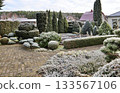 Garden landscaping with evergreen topiary trees and shrubs covered in winter frost on a cold morning 133567106