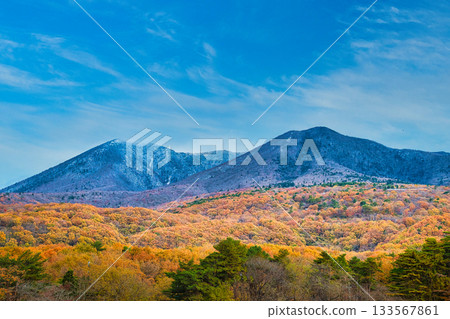 A holiday where you can fully enjoy the autumn leaves of the Nasu mountains 133567861