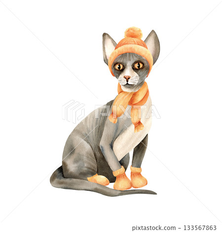 Sphinx hairless cat, knitted hat, scarf, socks. Bald skin pet in cozy orange clothes. Cute animal, grey kitty sphynx. Watercolor isolated illustration. Hand drawn clip art, autumn, winter mood 133567863