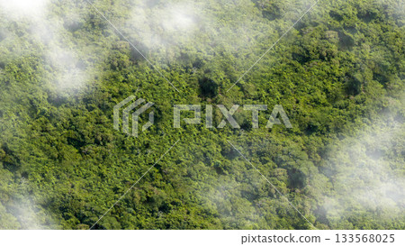 Aerial view of the clouds with a lush tropical landscape. Natural background 133568025