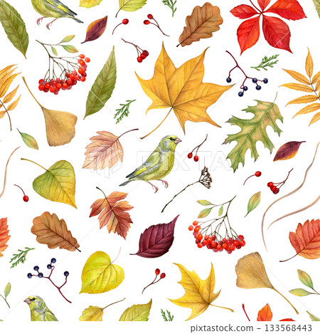 Fall leaves, berries and green birds watercolor seamless pattern on white background. Autumn nature hand drawn illustration. Ideal for fabric prints, wrapping paper, wallpapers, and seasonal designs Fall leaves, berries and green birds watercolor seamless pattern on white background. Autumn nature hand drawn illustration. Ideal for fabric prints, wrapping paper, wallpapers, and seasonal designs 133568443