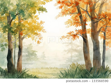 秋日的森林，樹葉繁茂，霧氣繚繞。 133568590