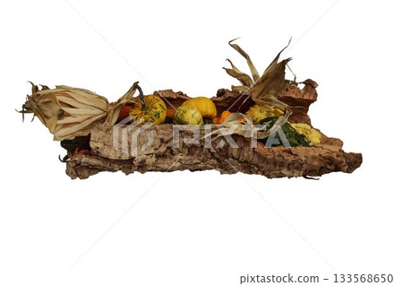 Autumn harvest gourds corn decoration on bark 133568650