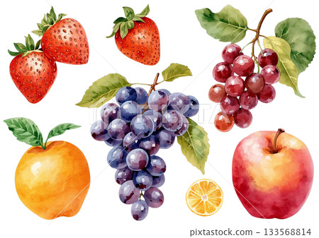 水彩水果插圖（透明背景PNG） 133568814