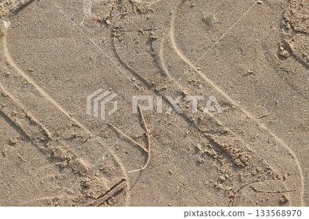 Tire tracks creating s shape on sandy beach surface 133568970