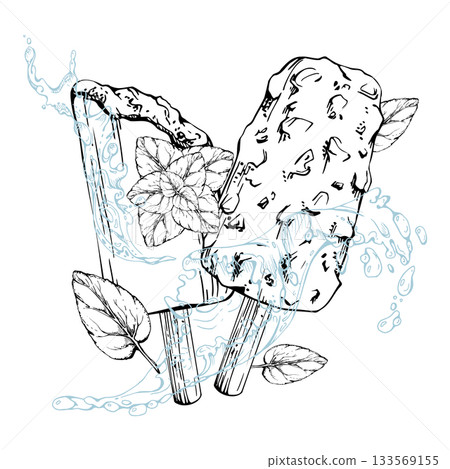 Chocolate and nuts coated popsicle ice cream lolly with fresh mint garnish, splashing water waves, drops. Vector graphic line illustration hand drawn in ink. Artisan branding, cafe flyer, sweets wrap 133569155