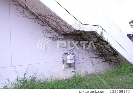 植物侵入的樓梯 133569173