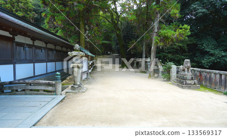 Oyamazumi Shrine Oyamazumi Shrine 133569317