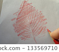 用紅色鉛筆在紙上摩擦，將櫻花葉子的圖案複製到紙上。 133569710