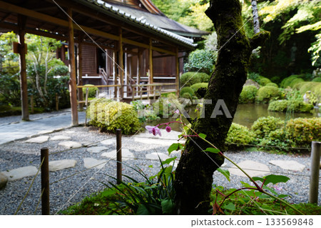 京都大原邪光院庭園 133569848