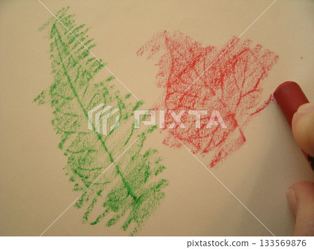 The texture of zelkova and ivy leaves is placed on the paper and rubbed with crayon to create a frottage pattern. 133569876