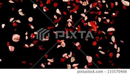 Flying Dark Red and Pink Rose Petals Isolated on Black Background. Freeze Motion VFX Overlay for Romantic Scenes, Cinematic Transitions and Graphics. Flying Dark Red and Pink Rose Petals Isolated on Black Background. Freeze Motion VFX Overlay for Romantic Scenes, Cinematic Transitions and Graphics. 133570406