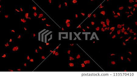 Flying Dark Red Rose Petals Isolated on Black Background. Freeze Motion VFX Overlay for Romantic Scenes, Cinematic Transitions and Graphics. 133570410