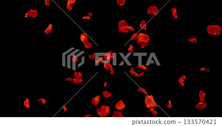 Flying Dark Red Rose Petals Isolated on Black Background. Freeze Motion VFX Overlay for Romantic Scenes, Cinematic Transitions and Graphics. 133570421