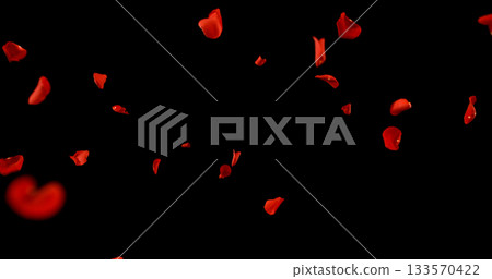 Flying Dark Red Rose Petals Isolated on Black Background. Freeze Motion VFX Overlay for Romantic Scenes, Cinematic Transitions and Graphics. 133570422