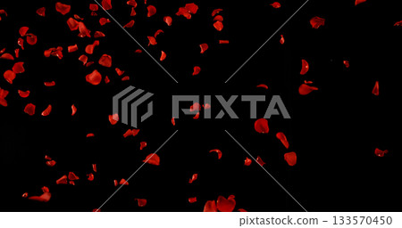 Flying Dark Red Rose Petals Isolated on Black Background. Freeze Motion VFX Overlay for Romantic Scenes, Cinematic Transitions and Graphics. 133570450